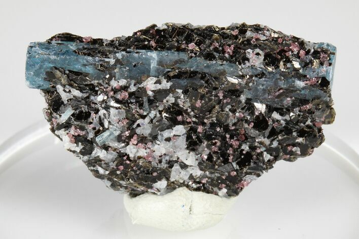 Blue Kyanite & Garnet in Biotite-Quartz Schist - Russia #178925